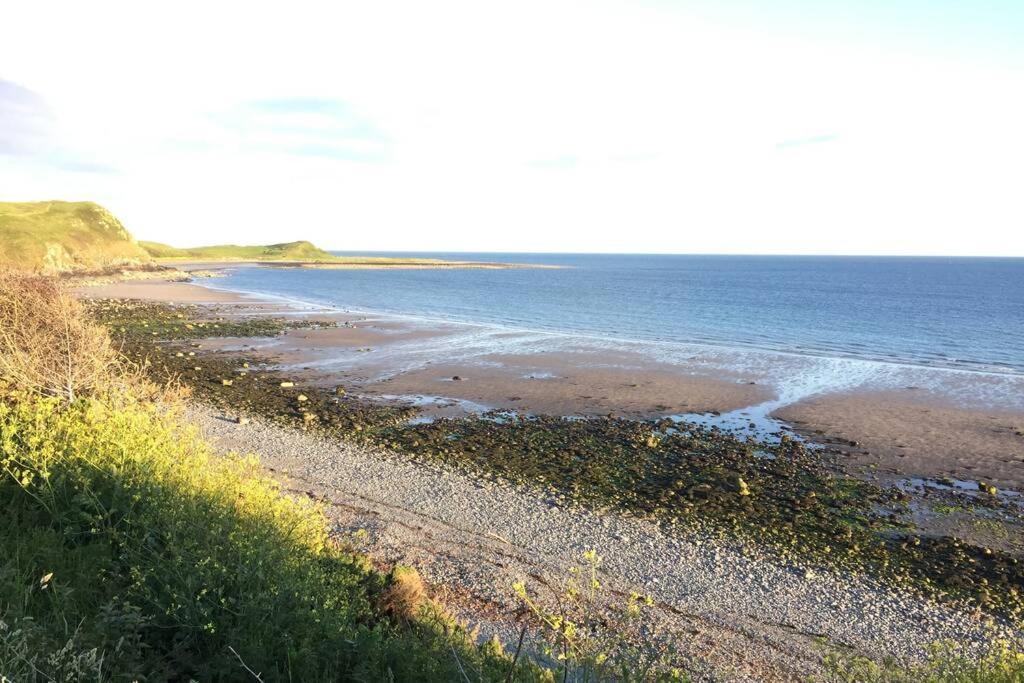فيلا Cosy, Coastal Retreat With A Large Garden Monreith المظهر الخارجي الصورة